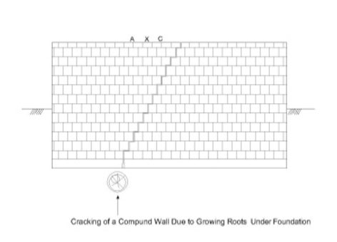 Cracks in Building –  Cracking Due to Vegetation